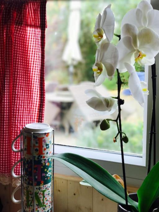Cosy Private Cabin With Parking In Good Location Оксфорд Экстерьер фото